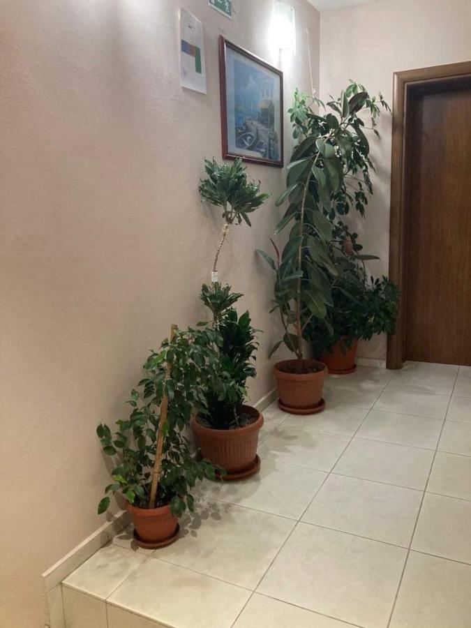 Family Hotel Neptun - لوزينيتس المظهر الخارجي الصورة